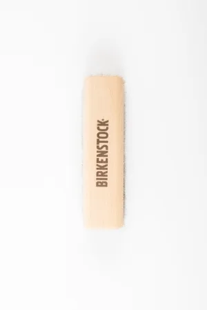 Polishing Brush